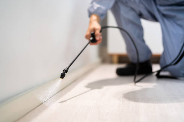 Licensed Pest Control service in Rotan, TX - Show Me Pest Control