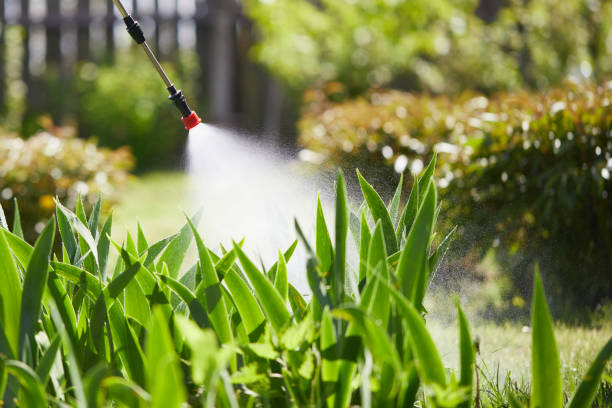 24/7 Emergency Ant Control experts in Rotan, TX