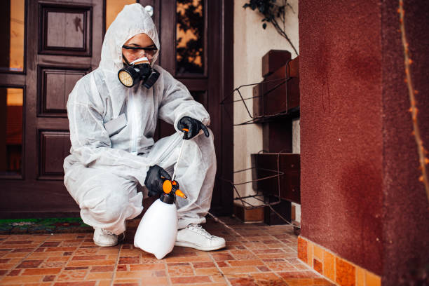 Reliable Ant Control contractor in Rotan, TX by Show Me Pest Control