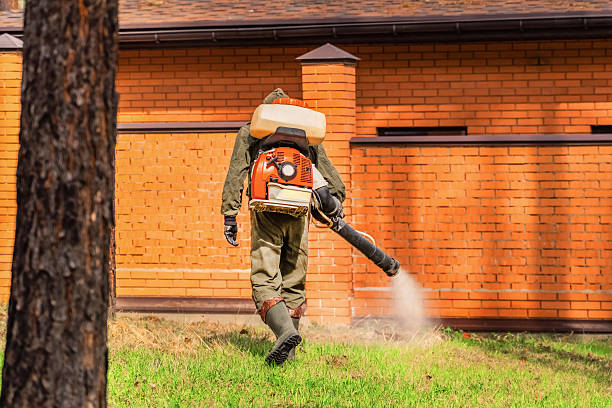 Top rated local Ant Control specialists in Rotan, TX